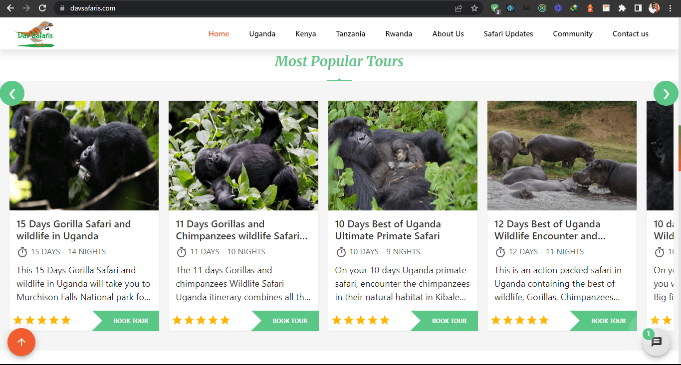Dav Safaris Website